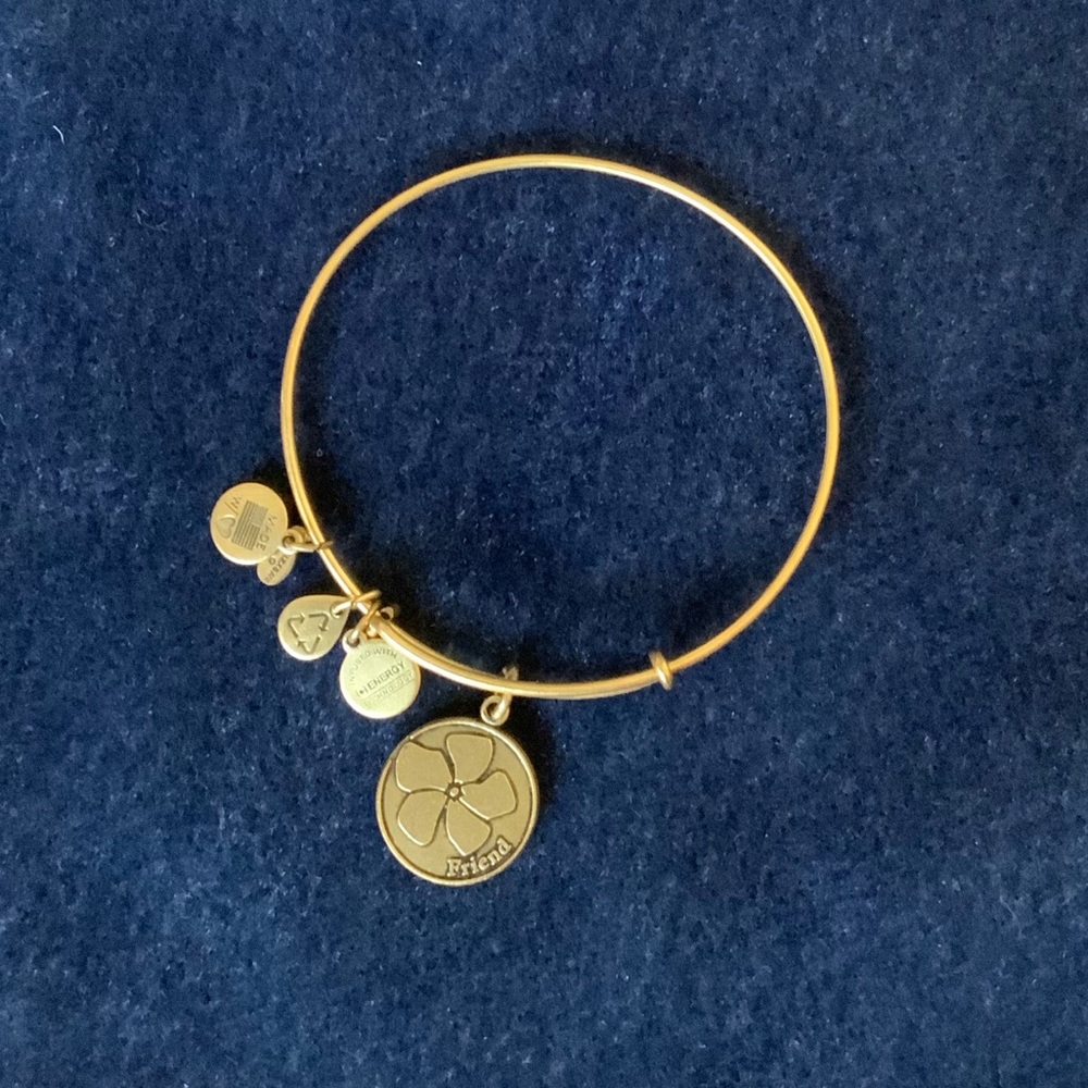 Alex and Ani bangle Friend